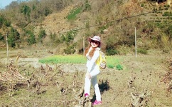 动漫人物将机机视频免费大全